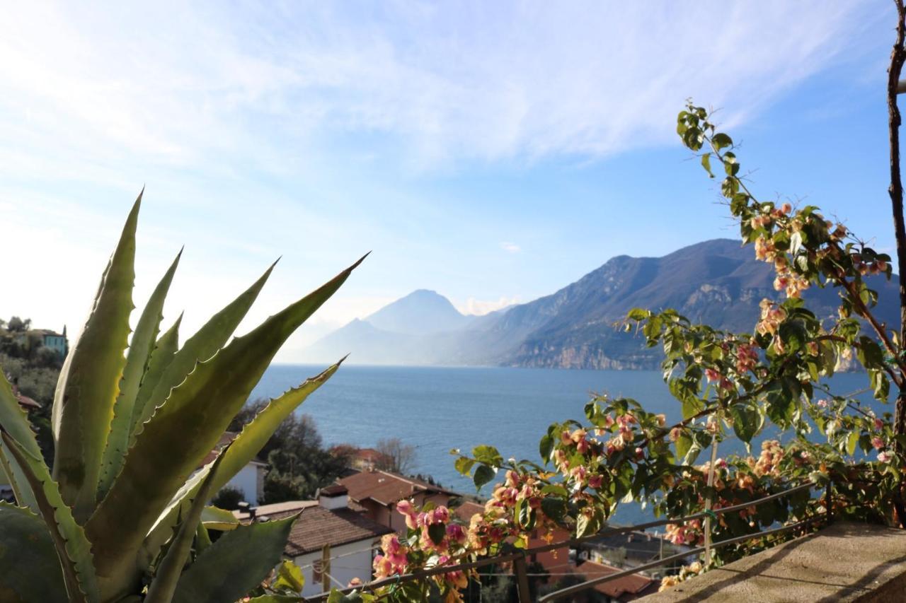 Le Due Terrazze Villa Brenzone sul Garda Kültér fotó