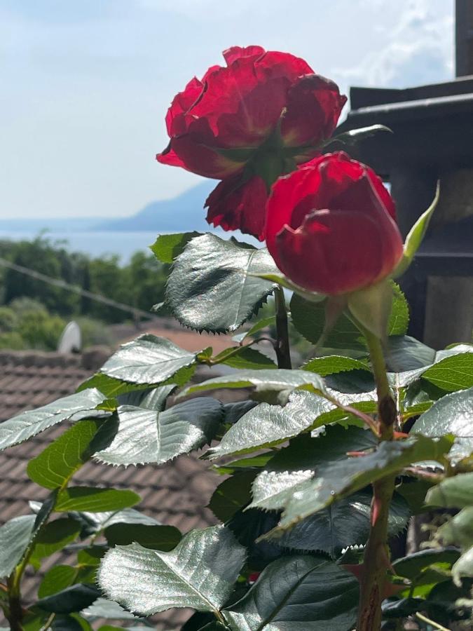 Le Due Terrazze Villa Brenzone sul Garda Kültér fotó