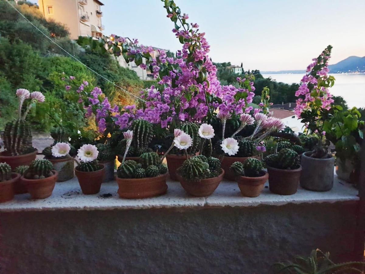 Le Due Terrazze Villa Brenzone sul Garda Kültér fotó