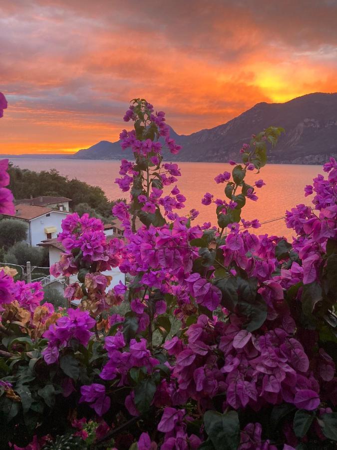 Le Due Terrazze Villa Brenzone sul Garda Kültér fotó